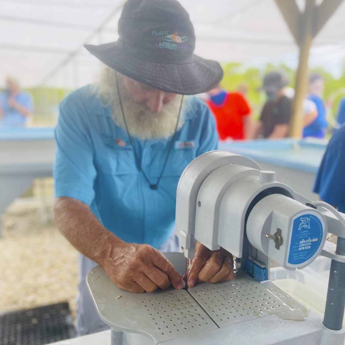 11th Hour Racing Team PAMC Grantee Announcement 2 Dr. David Vaughan Plant a Million Corals Founder