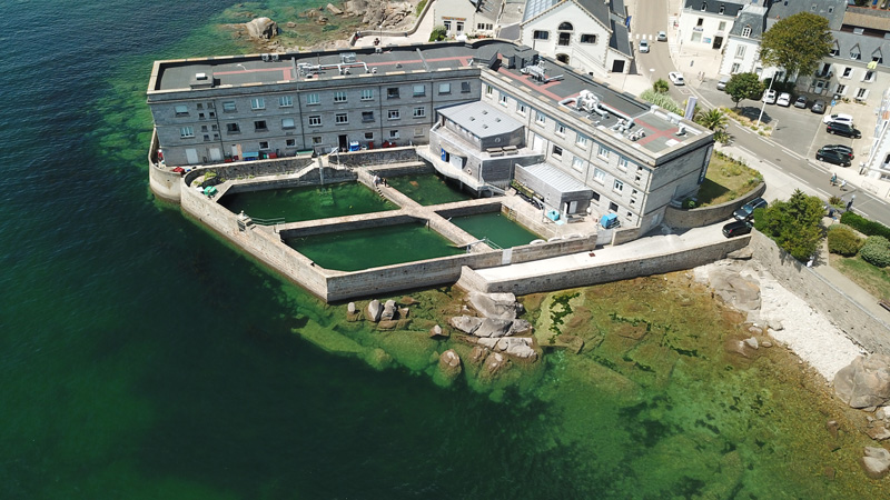 190913-11th-hour-racing-team-grantee-station-marine-de-concarneau-0237jpg