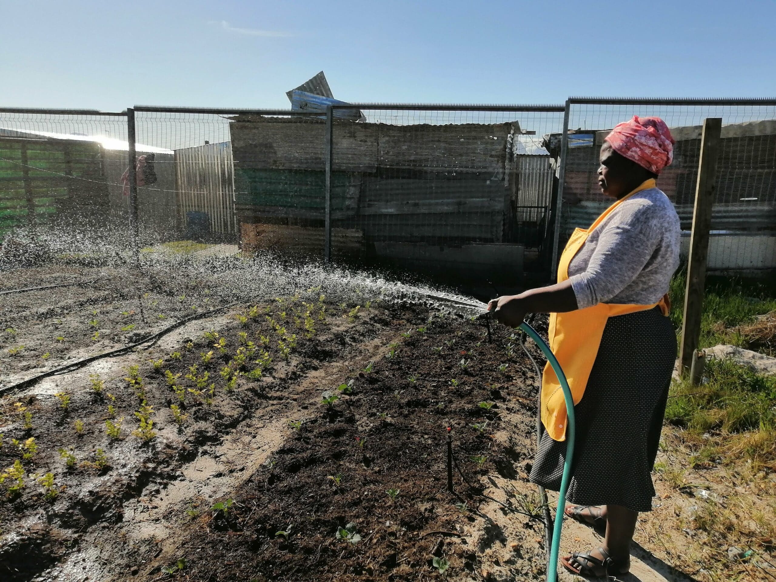Action Learning Farmer MamDondi